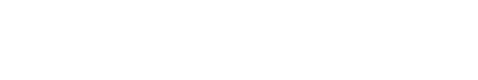 Beer Hawk logo